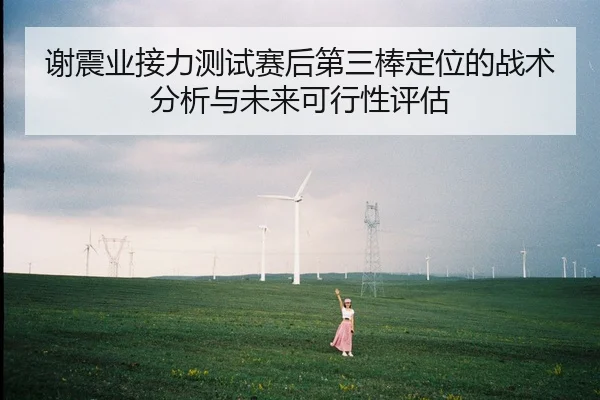 xie-zhen-ye-jie-li-ce-shi-sai-hou-di-san-bang-ding-wei-de-zhan-shu-fen-xi-yu-wei-lai-ke-xing-xing-ping-gu-2-981.jpg