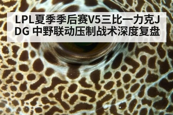 LPL夏季季后赛V5三比一力克JDG 中野联动压制战术深度复盘